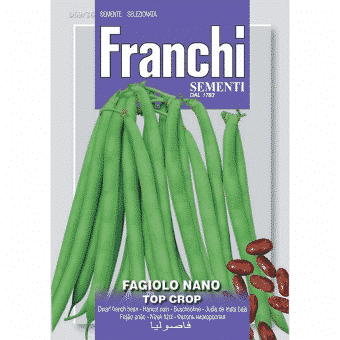 Franchi top crop zöldbab vetőmag